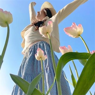 明月守护者